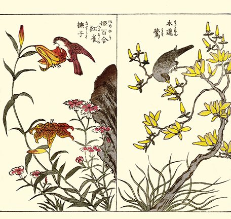 photo3.jpg