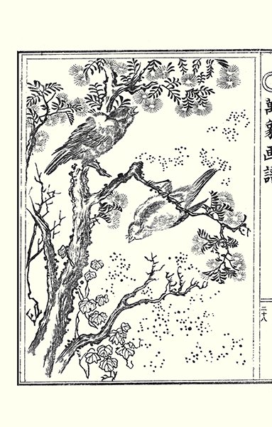photo9.jpg