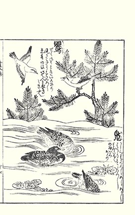 photo28.jpg