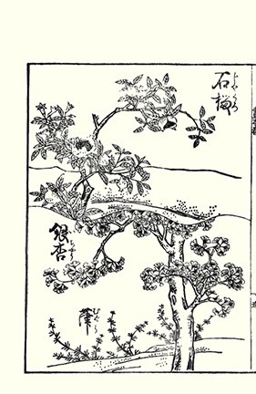 photo49.jpg