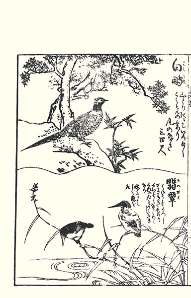 photo23.jpg