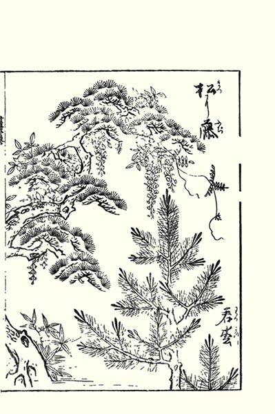 photo40.jpg