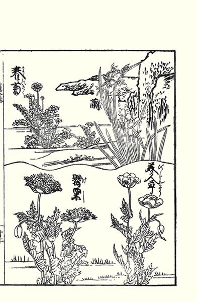 photo62.jpg