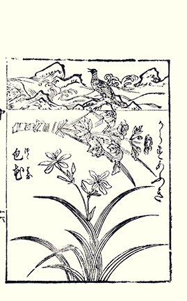 photo23.jpg