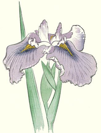 photo11.jpg