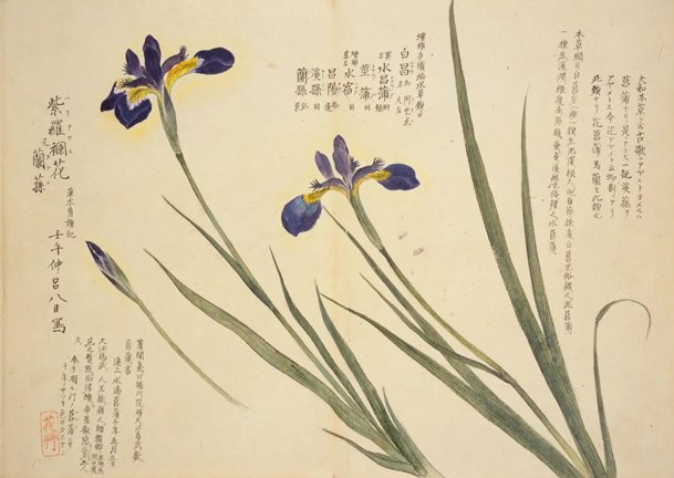 photo10.jpg
