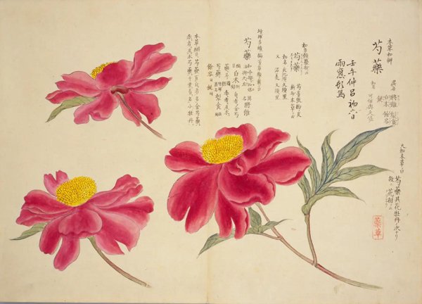 photo12.jpg