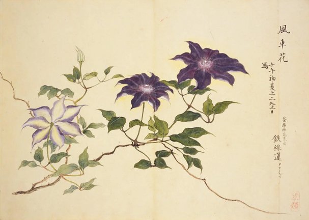 photo16.jpg