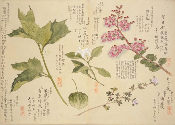 photo20.jpg