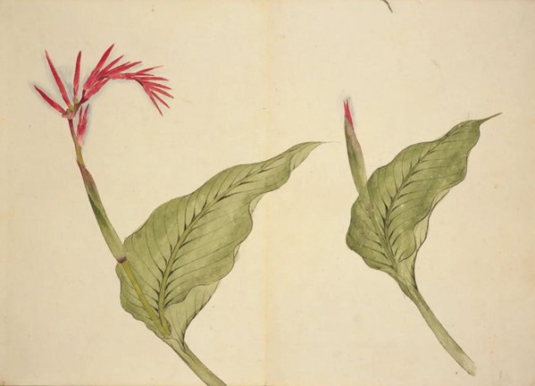 photo28.jpg