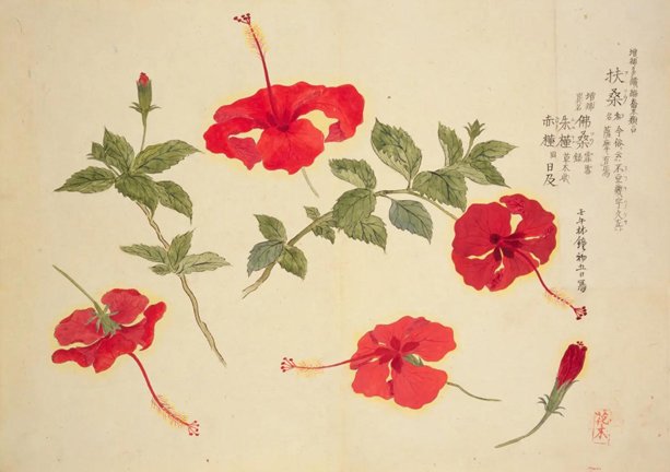 photo31.jpg