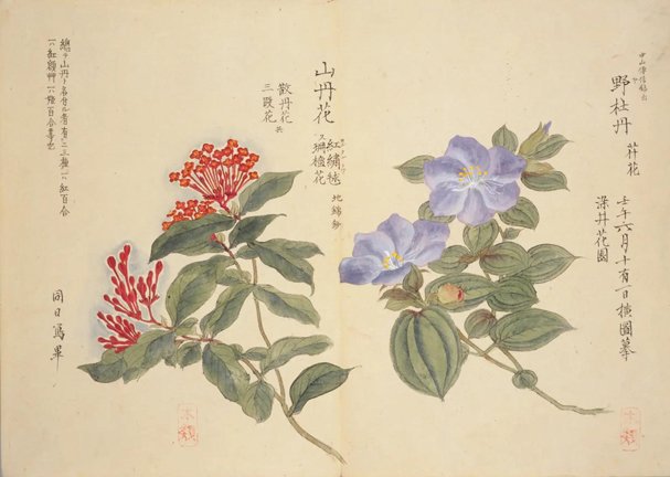 photo33.jpg