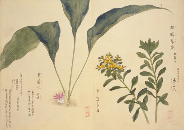 photo39.jpg