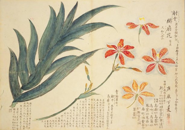 photo4.jpg