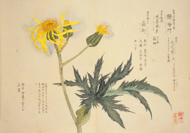 photo41.jpg