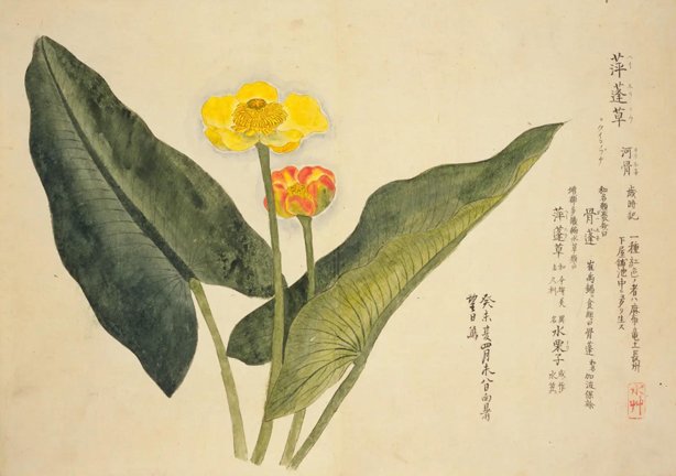 photo43.jpg