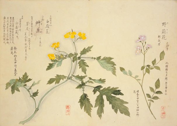 photo47.jpg