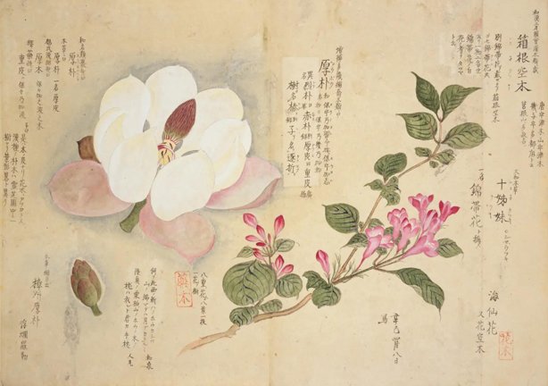 photo6.jpg