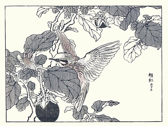 photo13.jpg