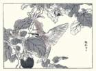 photo13_small.jpg