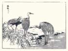 photo17_small.jpg