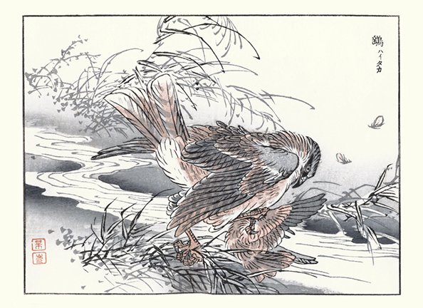 photo21.jpg