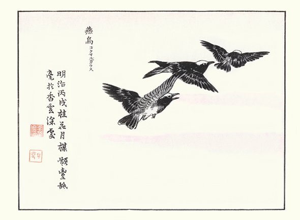 photo25.jpg