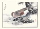 photo3_small.jpg