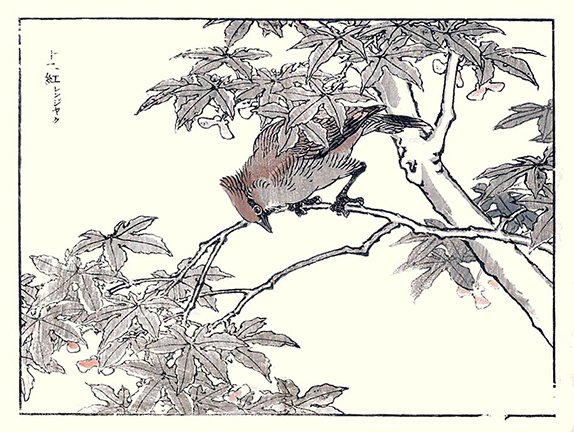 photo7.jpg
