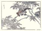 photo7_small.jpg