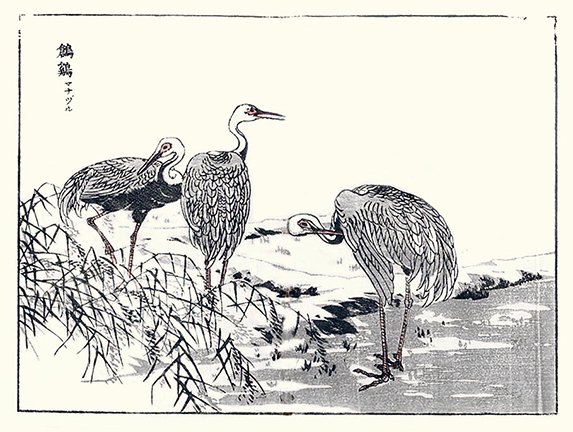 photo17.jpg