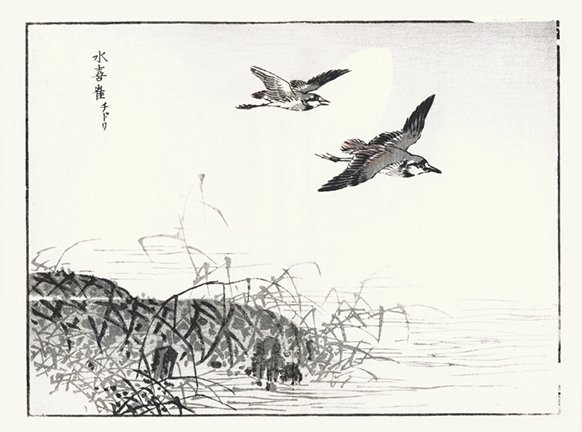 photo23.jpg