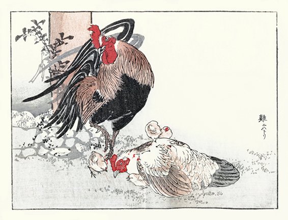 photo28.jpg