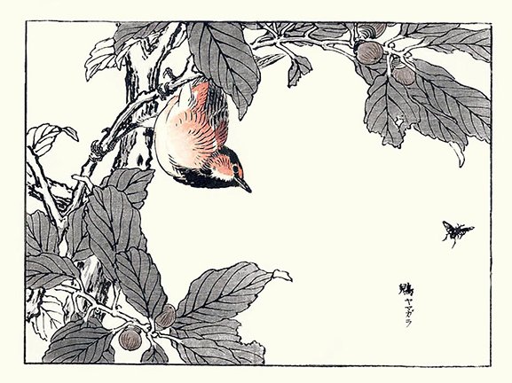 photo39.jpg