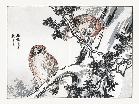 photo42.jpg