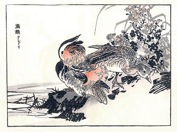 photo48.jpg