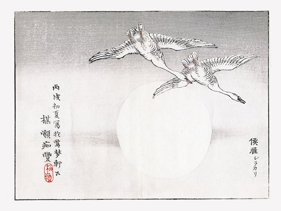 photo50.jpg