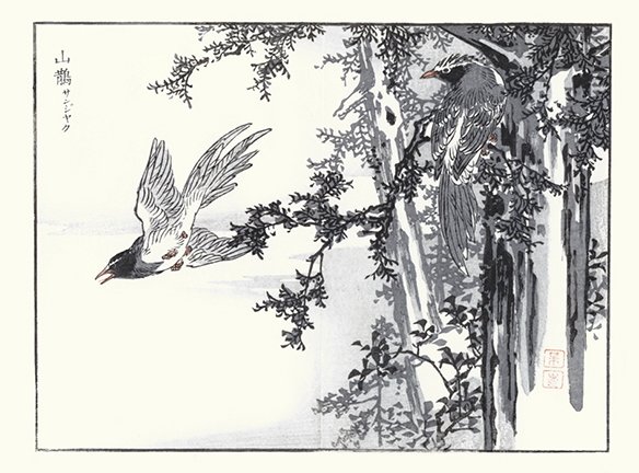 photo9.jpg