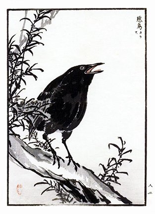 photo72.jpg