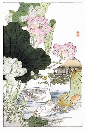 photo26.jpg