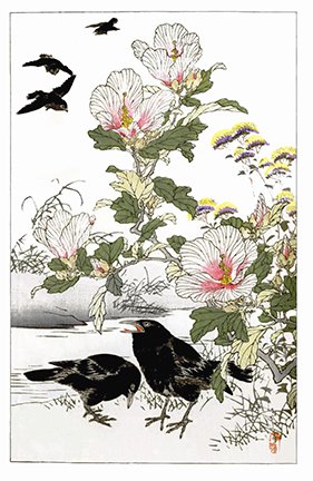 photo27.jpg