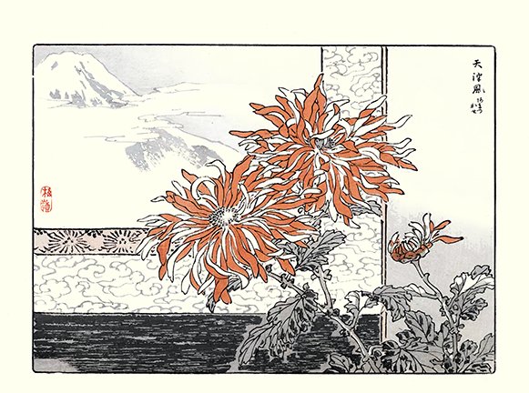 photo.jpg