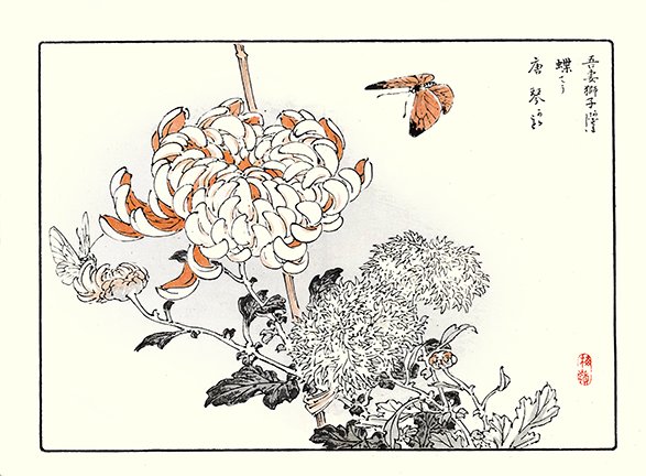 photo13.jpg