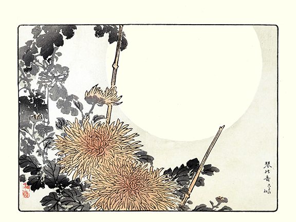 photo19.jpg