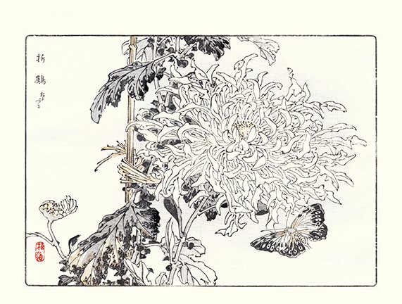 photo26.jpg