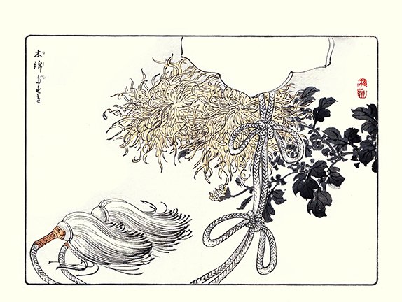 photo29.jpg