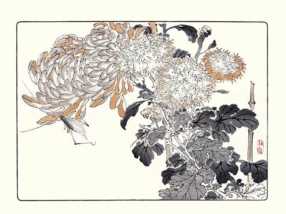 photo30.jpg