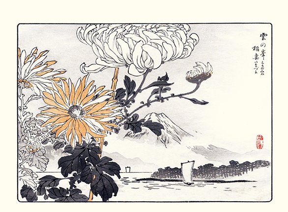 photo32.jpg