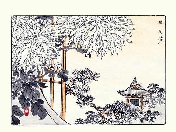 photo38.jpg
