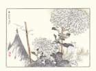 photo14_small.jpg